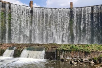 🌿 Wellness Hike Experience