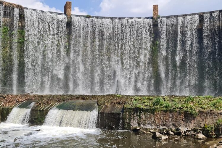 🌿 Wellness Hike Experience