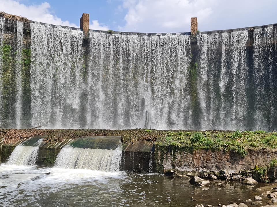 🌿 Wellness Hike Experience